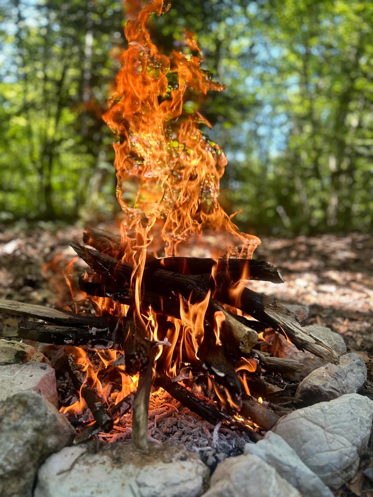 Photo d'un feu de camp en forêt
